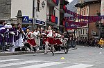 Gara delle Bighe 2011-7752